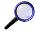 rechercher sur le site