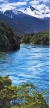 A Propósito de la Patagonia Chilena